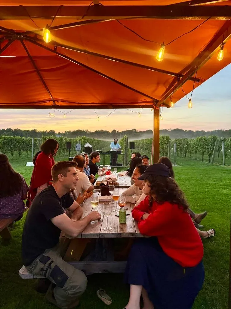 People sitting at a long table in front of a vineyard