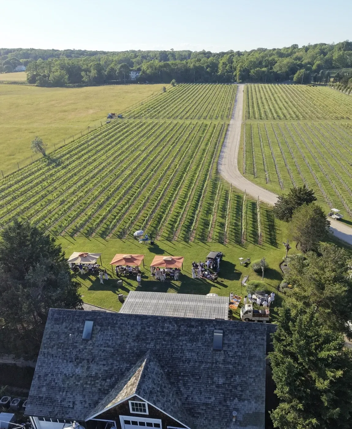 Aerial view over the tasting room lawn and vineyard rows
