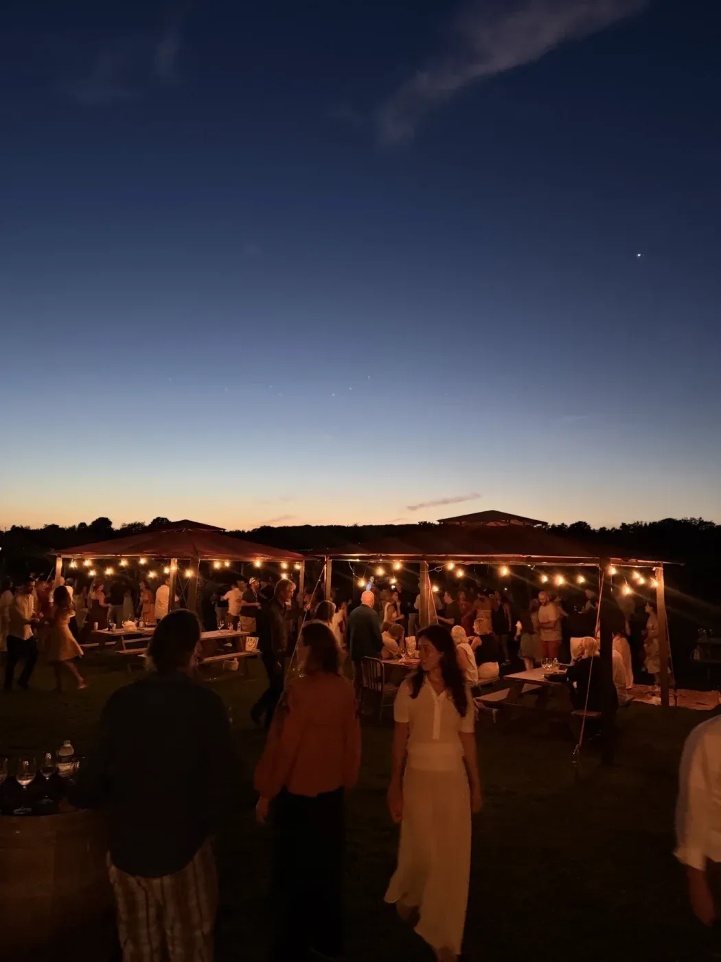 Guests gathered beneath the terrace lights at dusk