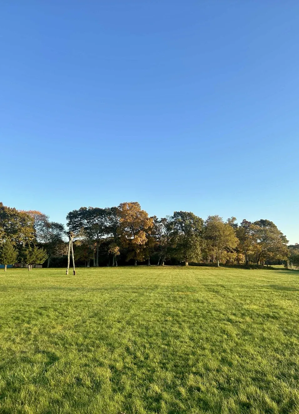 Open lawn and sculptures beneath a blue sky in the Sculpture Garden