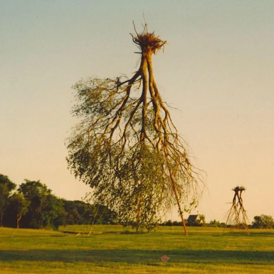Walter Channing’s inverted-tree sculpture in the Sculpture Garden