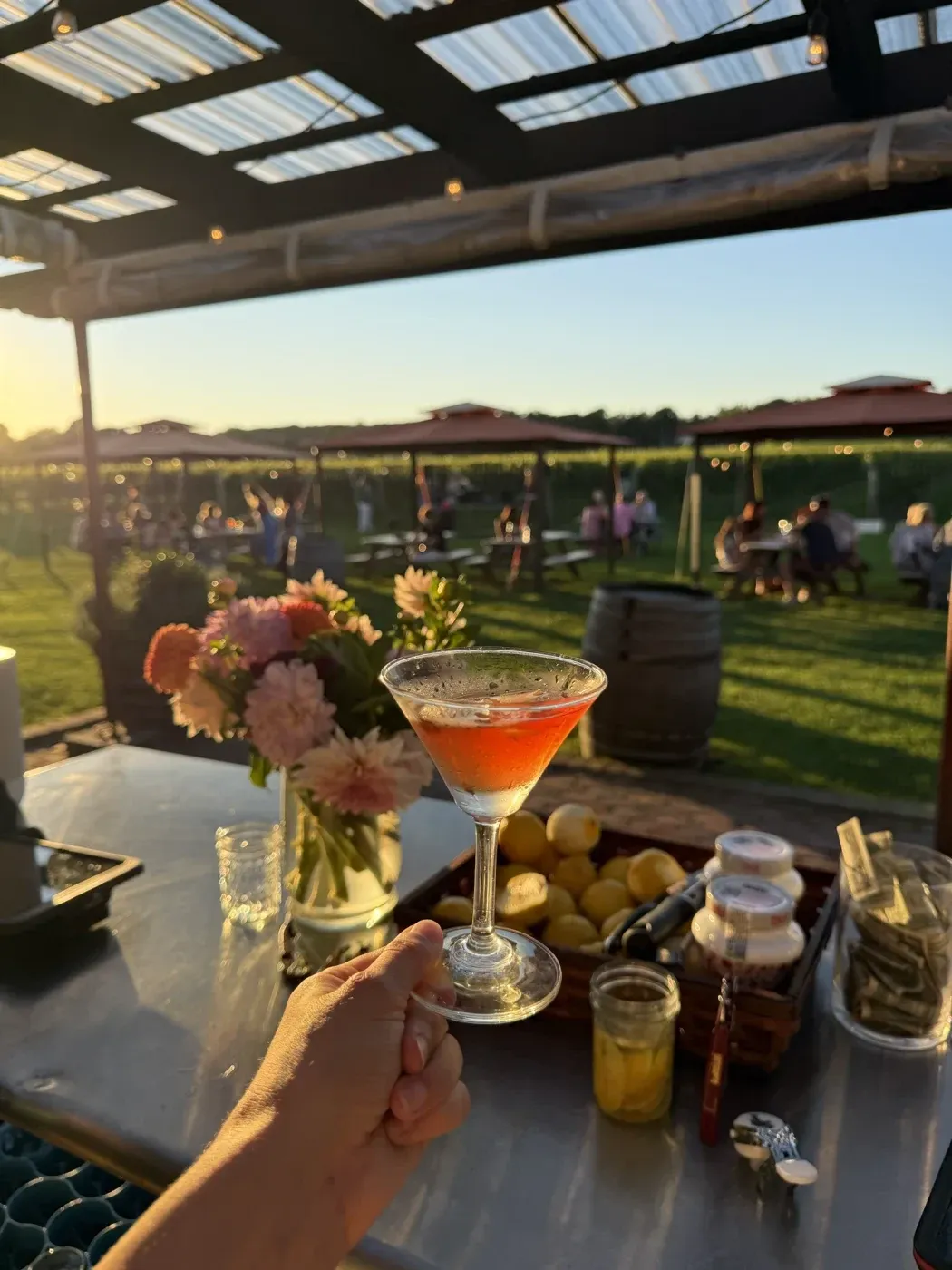 A hand holding a cocktail on the covered terrace, flowers beside it and guests at tables on the lawn beyond