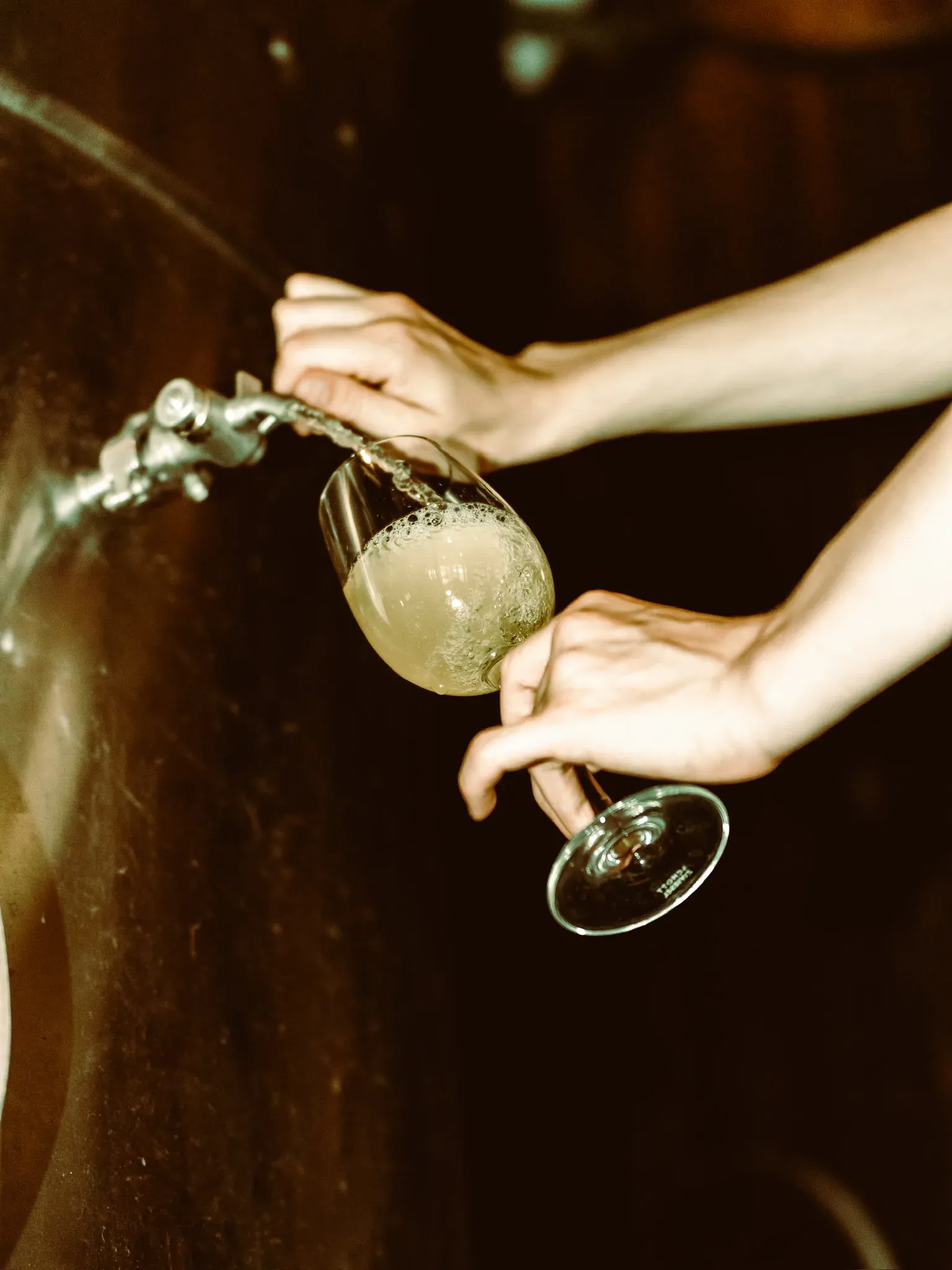 Wine drawn from a barrel tap into a glass
