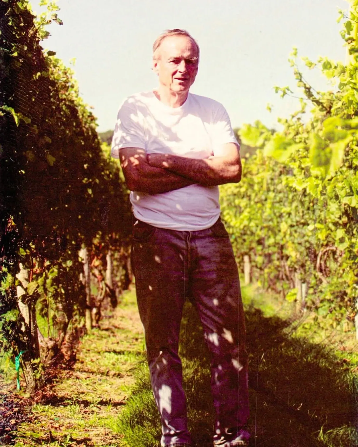 Walter Channing standing among the vines